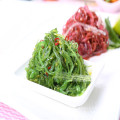Appetizer Snack Wakame Receta de ensaladas de algas marinas